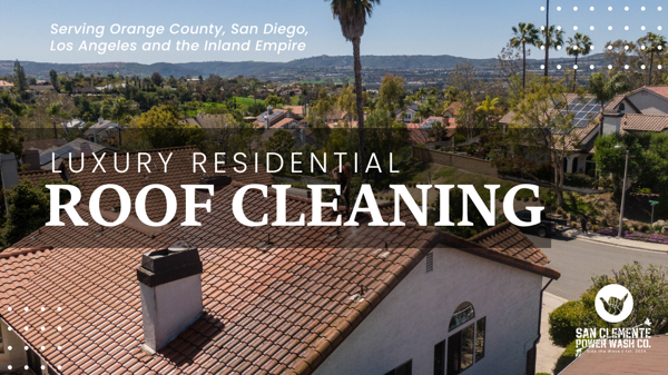 Professional roof cleaning in progress - SCPW
